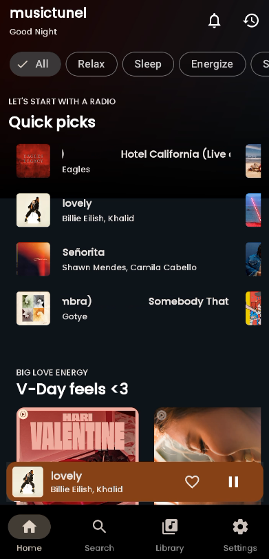 musictunel Home Screen